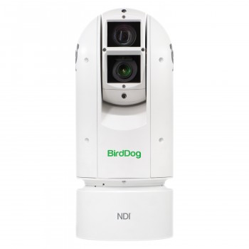 BirdDog Eyes A300 IP67 SDI Full NDI PTZ Camera
