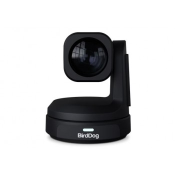 BirdDog Max 12X PTZ Camera