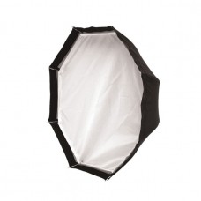 Hive Lighting Wasp Octagonal Softbox